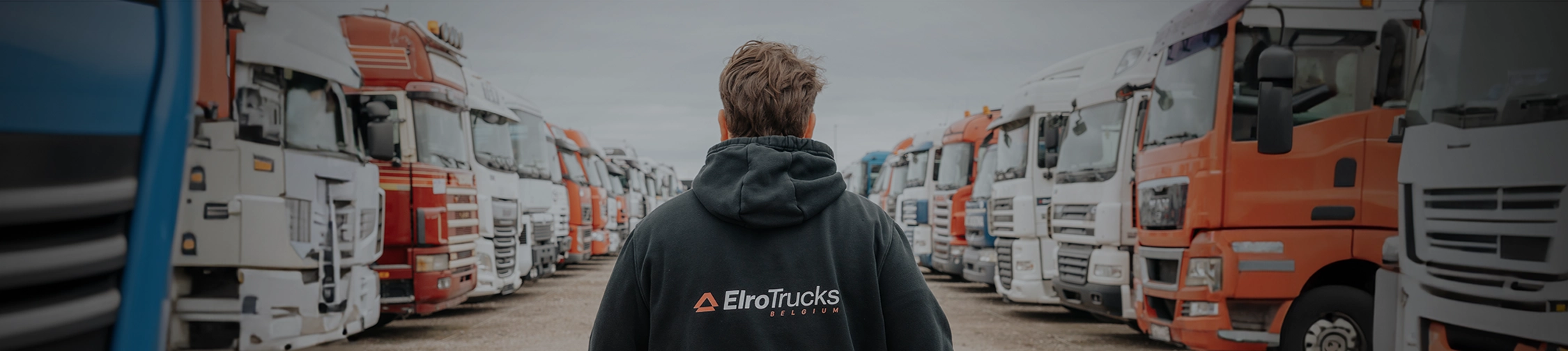 Discover our extensive stock