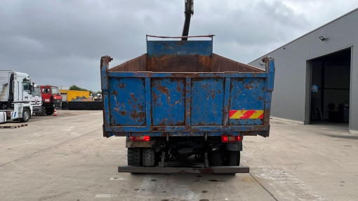 Renault--G 290 Manager
